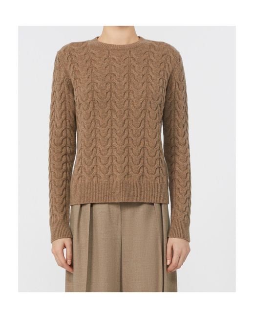Max Mara Brown Aramis Crewneck Jumper