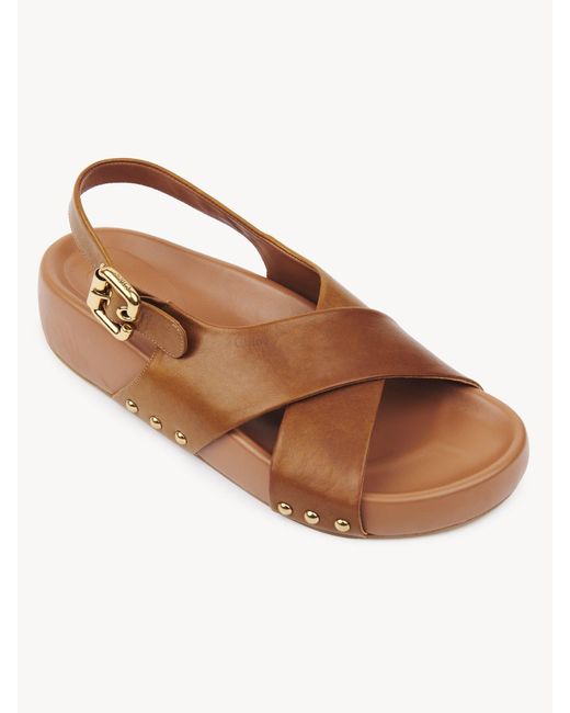 Chloé Brown Chloé Mae Buckle Detailed Sandals
