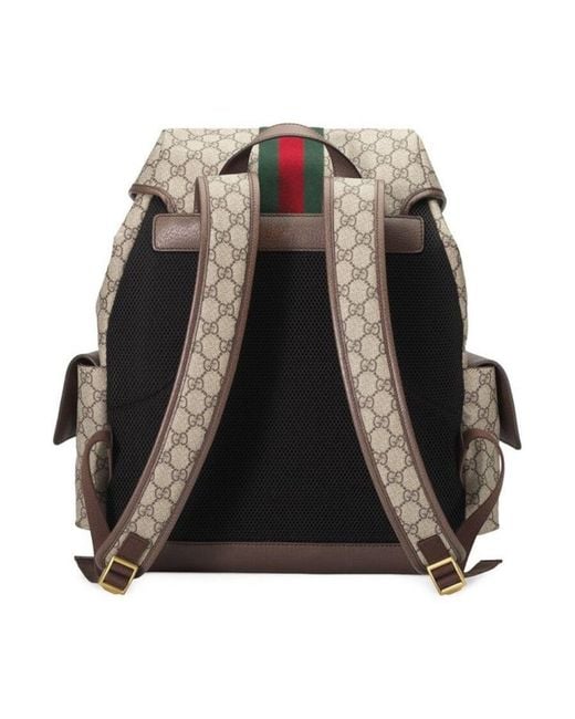 Gucci Brown Gg Supreme Backpack for men