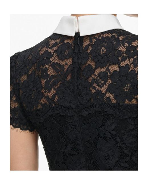Self-Portrait Black Lace Contrast Collar Midi Dress