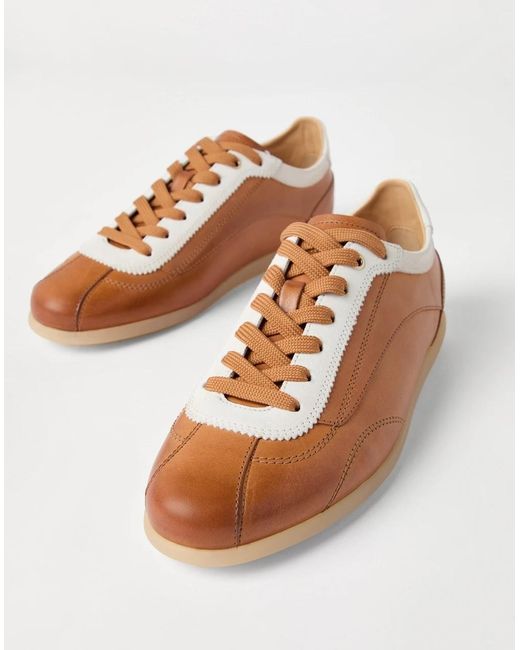 Brunello Cucinelli Brown Calfskin Contrast-Panel Sneakers for men