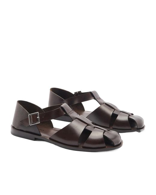 Scarosso Brown Apollo Buckle-Fastened Sandals for men