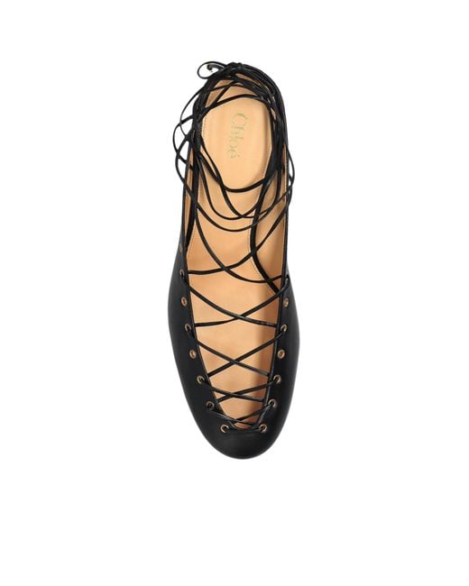 Chloé Black Chloé Ghillies Heeled Shoes