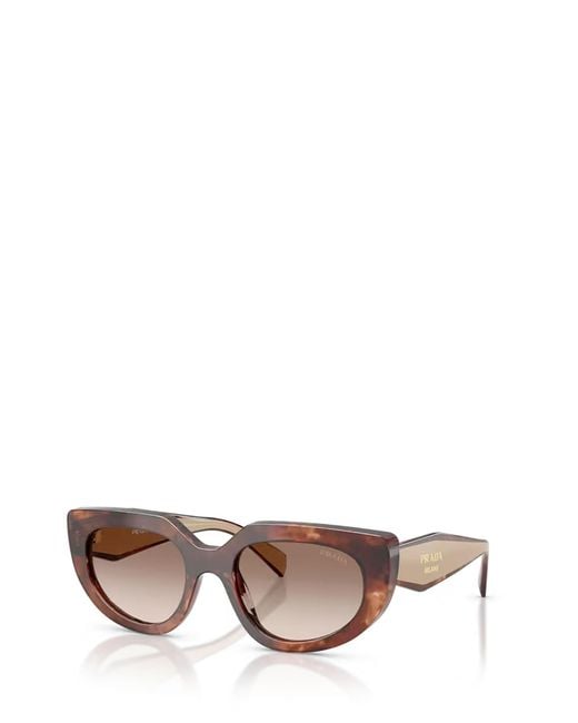 Prada Pink Eyewear Oval Frame Sunglasses