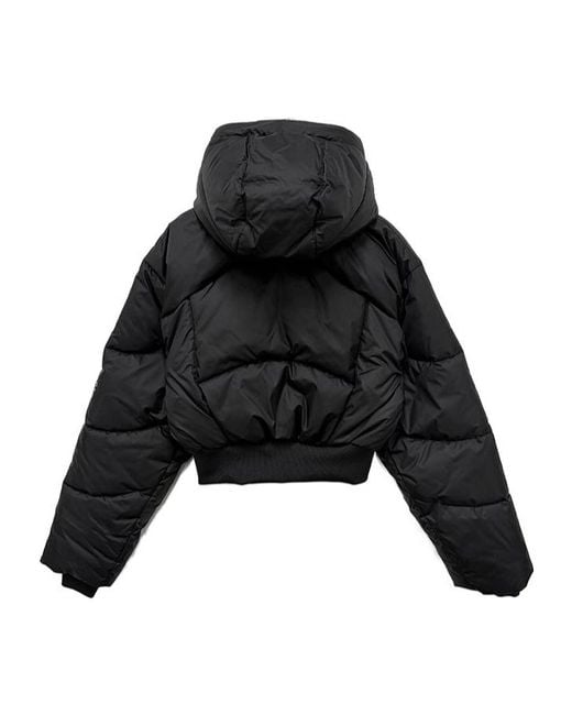 Adidas Black By Stella Mccartney Cropped Quilted Jacket