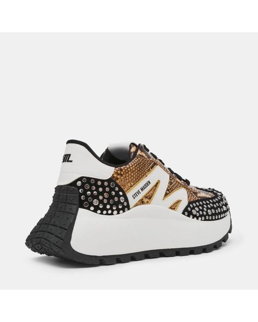 Steve Madden Multicolor Low-Top Casual Shoes