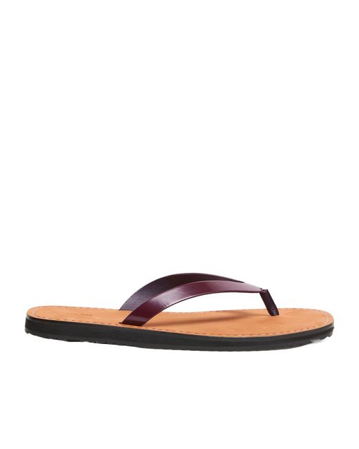 The Row Brown City Leather Thong Sandals