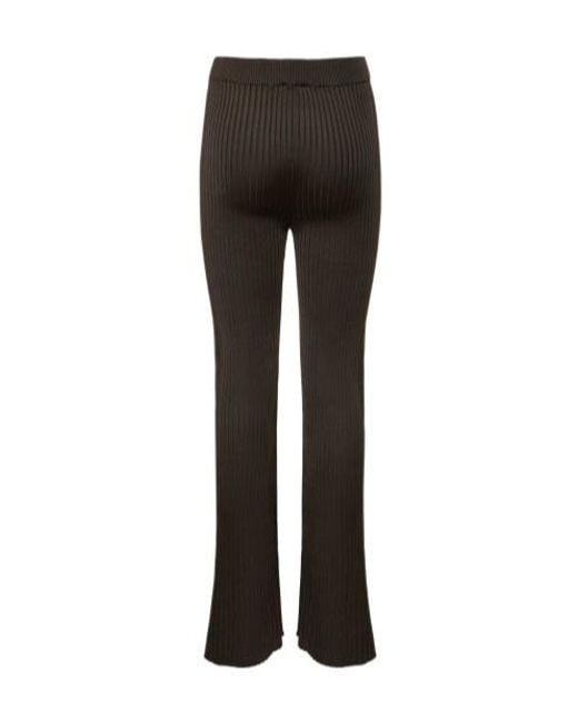 Jil Sander Brown Rib Horn Casual Pants