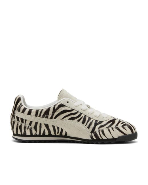 PUMA Multicolor Lace-Up Casual Sneakers