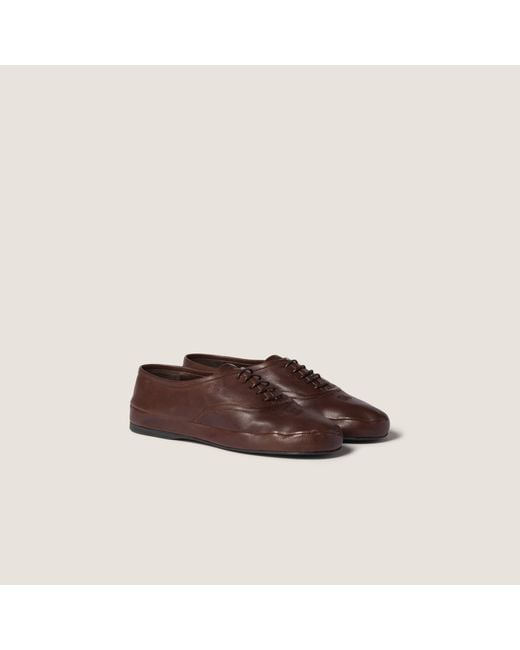 Miu Miu Brown Round-Toe Lace-Up Shoes