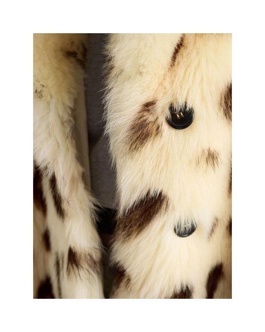 Prada Natural Neutrals Coats