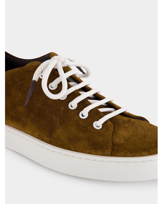 Manolo Blahnik Brown Lace-Up Low-Cut Casual Shoes for men