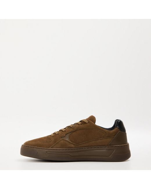 Boss Brown Solid Color Low-Top Trainers for men
