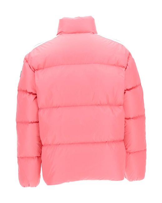 Palm Angels Pink Logo-Print Padded Jacket for men