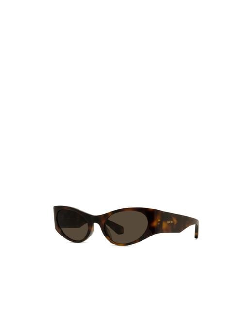 Loewe Multicolor Cat-Eye Frame Sunglasses
