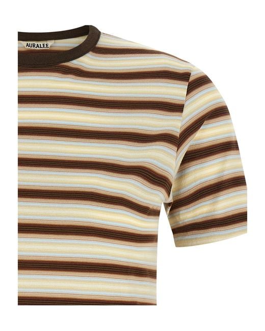Auralee White Gradient Striped T-Shirt