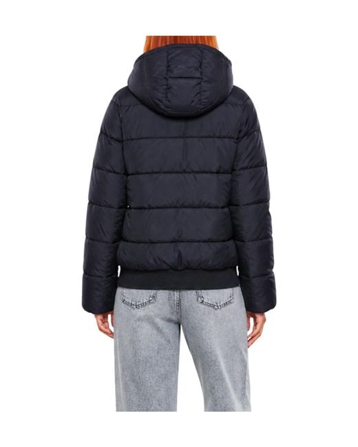 EA7 Blue Winter Jackets