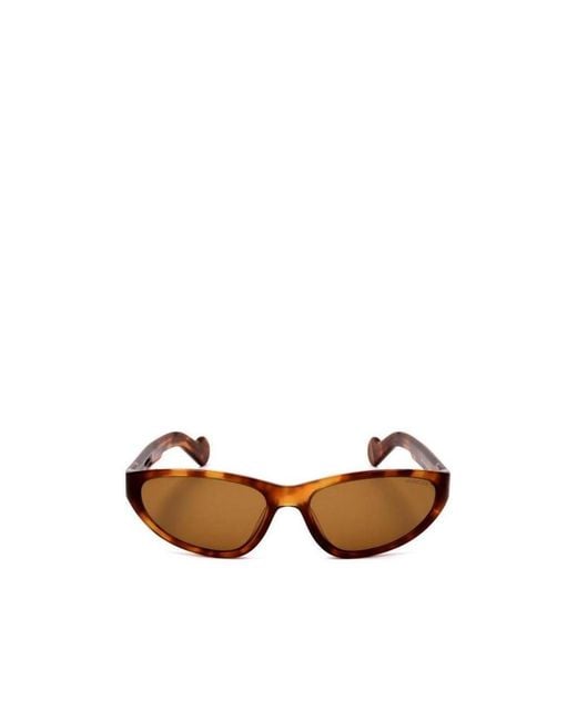 Moncler Multicolor Eyewear Cat-Eye Sunglasses for men