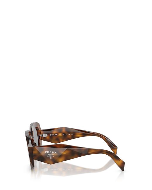 Prada Multicolor Eyewear Oversized-Frame Sunglasses