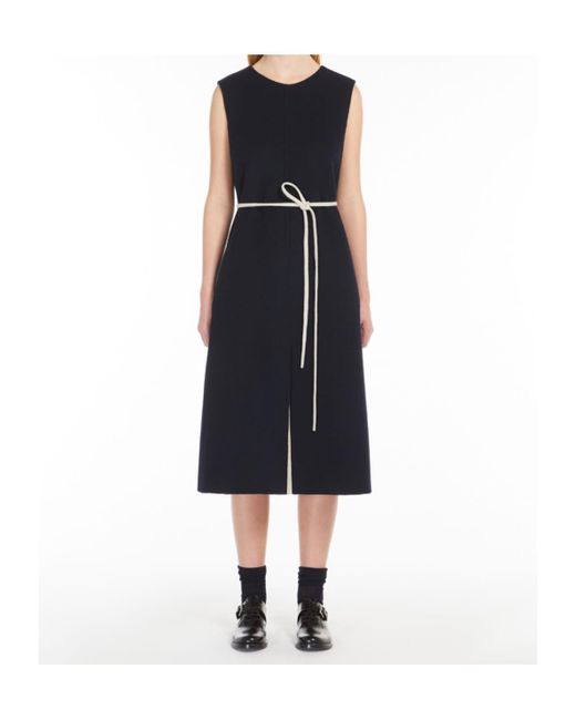 Max Mara Blue 'S Simone Crewneck Sleeveless Dress