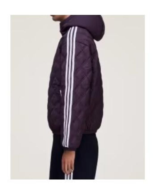 Adidas by Wales Bonner Purple Wales Bonner Quilted Jkt Jacket for men
