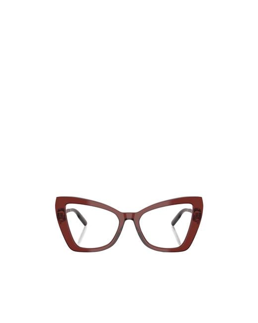 Dolce & Gabbana Multicolor Eyewear Cat-Eye Glasses