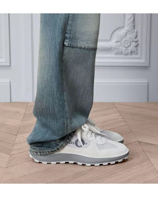 Dior Gray Squash Sneaker