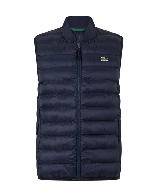 Lacoste Blue Quilted Gilet for men