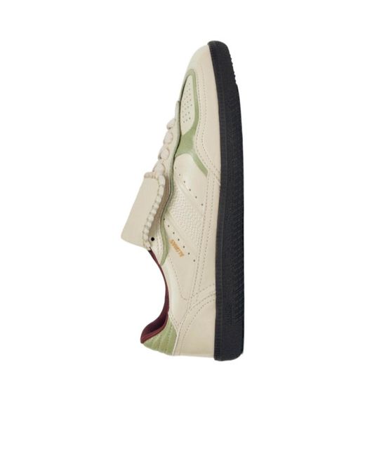 Alohas Multicolor Tb.490 Club Sneakers