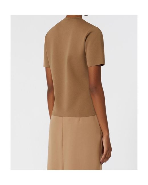 Max Mara Brown Adelio Crewneck Short-Sleeved T-Shirt