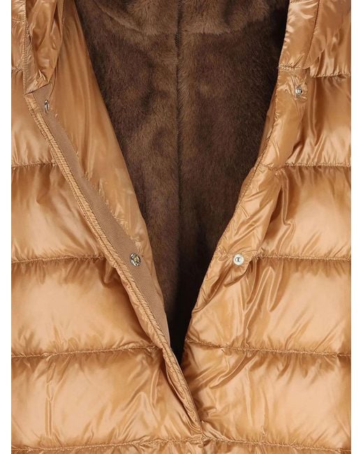 Herno Brown Quilted Hooded Jackets