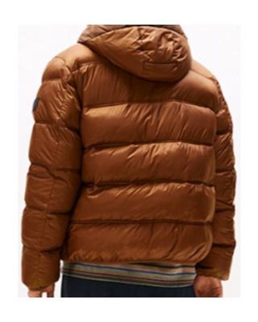 Tommy Hilfiger Brown Tonal Logo Hooded Puffer Jacket for men