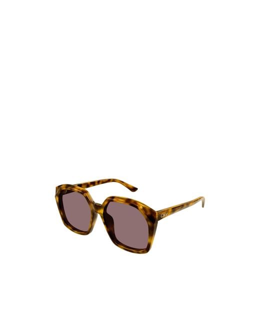 Chloé Multicolor Chloé Eyewear Salome Oversized Frame Sunglasses for men