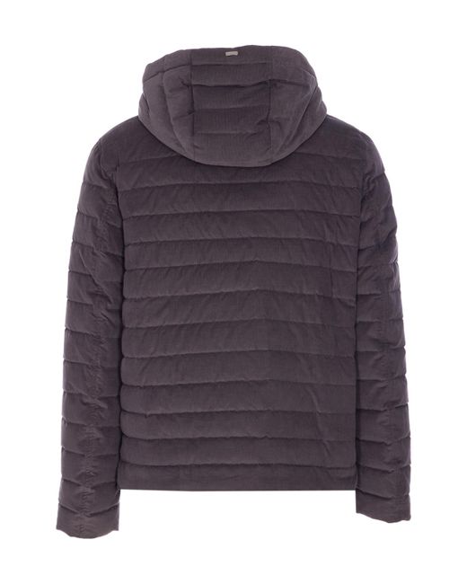Herno Purple Quilted Hooded Jacket for men
