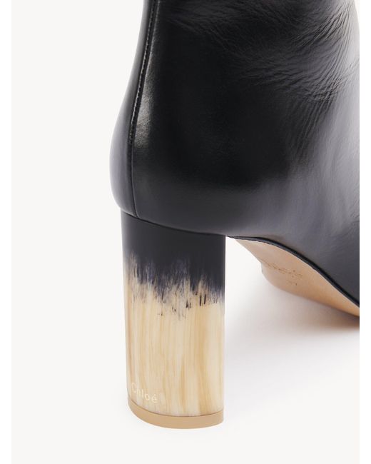 Chloé Black Chloé Georgia Heeled Ankle Boots