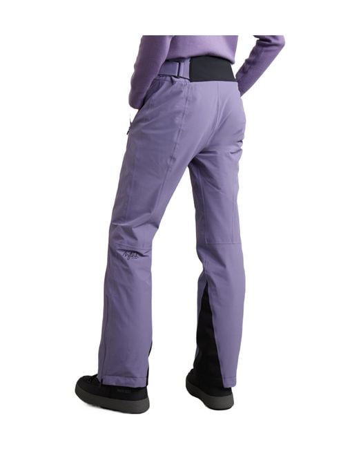 Aztech Mountain Purple Team Aztech Ski Pants