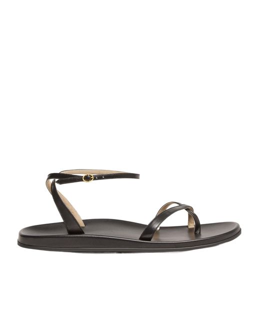 The Row White Hugh Ankle Strap Sandals