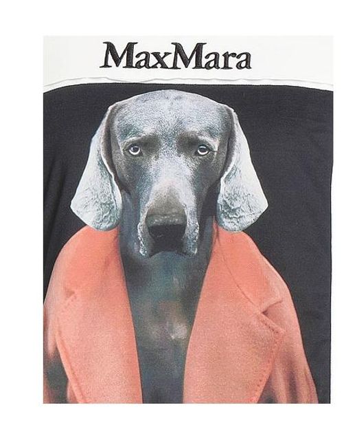 Max Mara White Plain Colour Sweatshirts