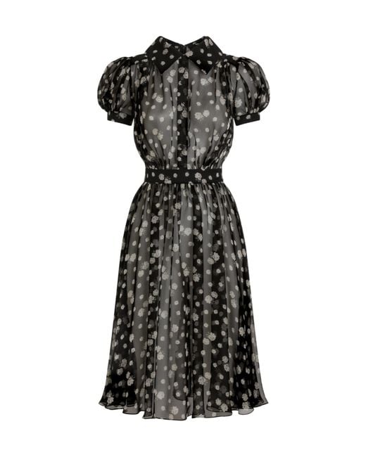 Dolce & Gabbana Black Small Rose And Polka Dot-Print Chiffon Dress