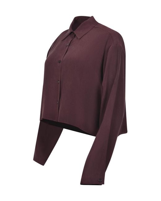 Alysi Purple Long Sleeve Cropped Shirt