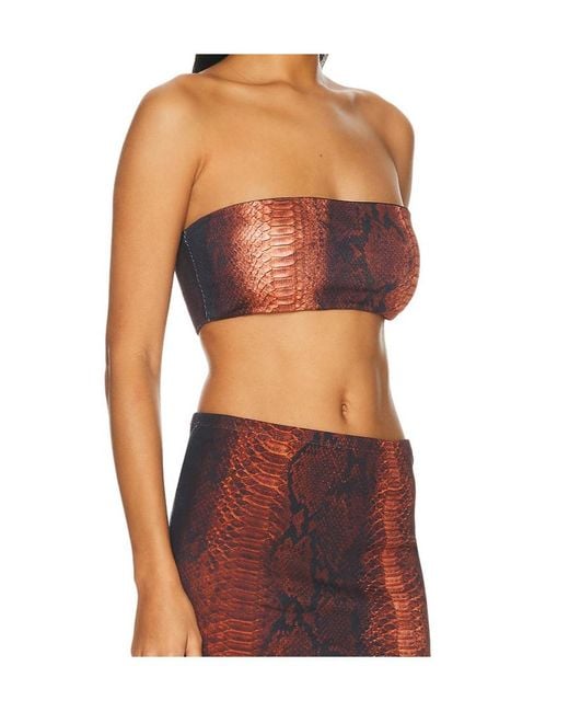 Jean Paul Gaultier Multicolor Printed Ribbed Bra