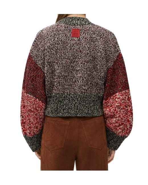 Loewe Brown Sweater