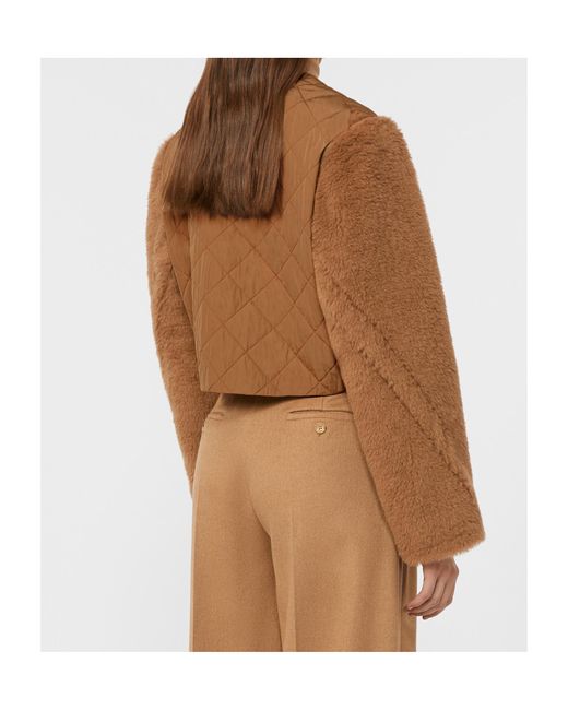 Max Mara Brown Santos Button-Up Coat