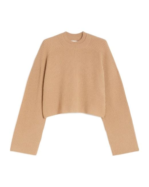 Max Mara Natural Funale Round-Neck Jumper