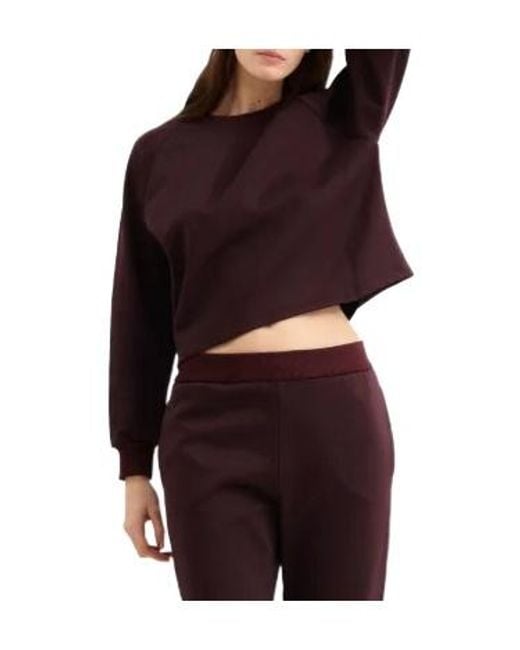 Eres Purple Celine Trousers