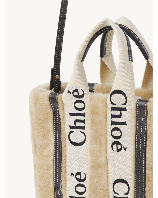 Chloé Metallic Chloé Small Woody Tote Bag