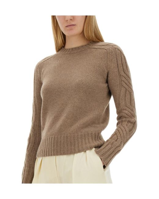 Max Mara Brown Round Neck Sweater