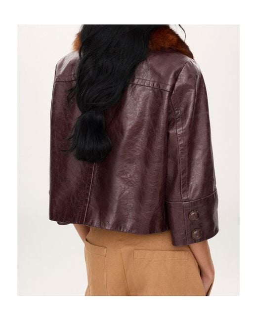 Chloé Brown Cropped Jacket