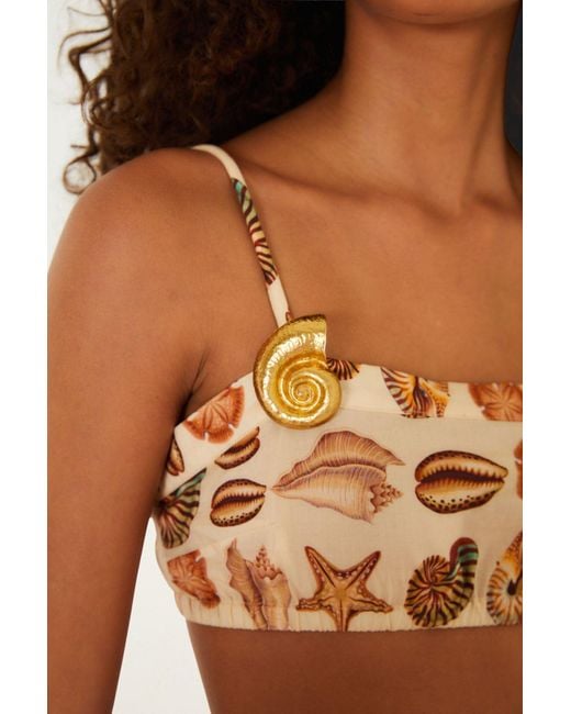 Farm Rio Orange Patterned Short Tank Top
