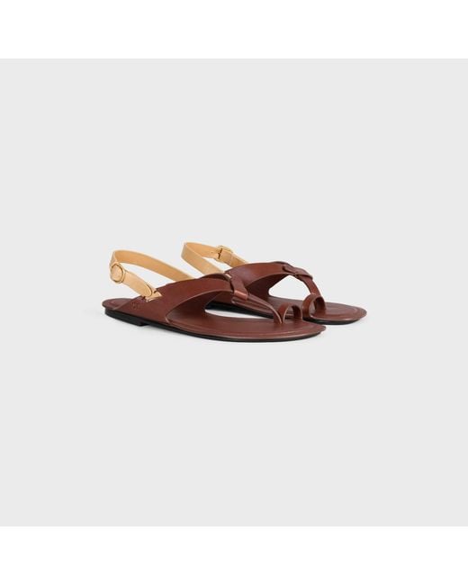 Céline Brown Onyx Thong Sandal
